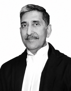 Justice Shree Chandrashekhar